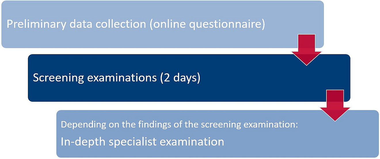 Study Procedure and Data Collection