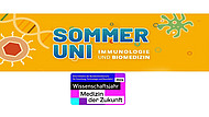 Gelbes Banner mit der Aufschrift "SommerUni Immunologie und Biomedizin". Darunter ist das Logo des Wissenschaftsjahres 2026.
