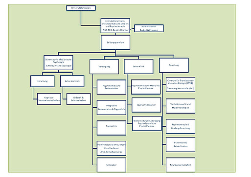 Organigramm