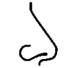 Geruchstest
