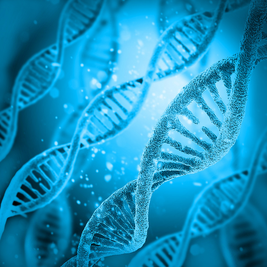 DNA-schematisch