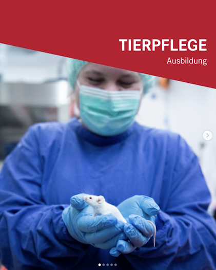 TARC Tierpfleger Instagram
