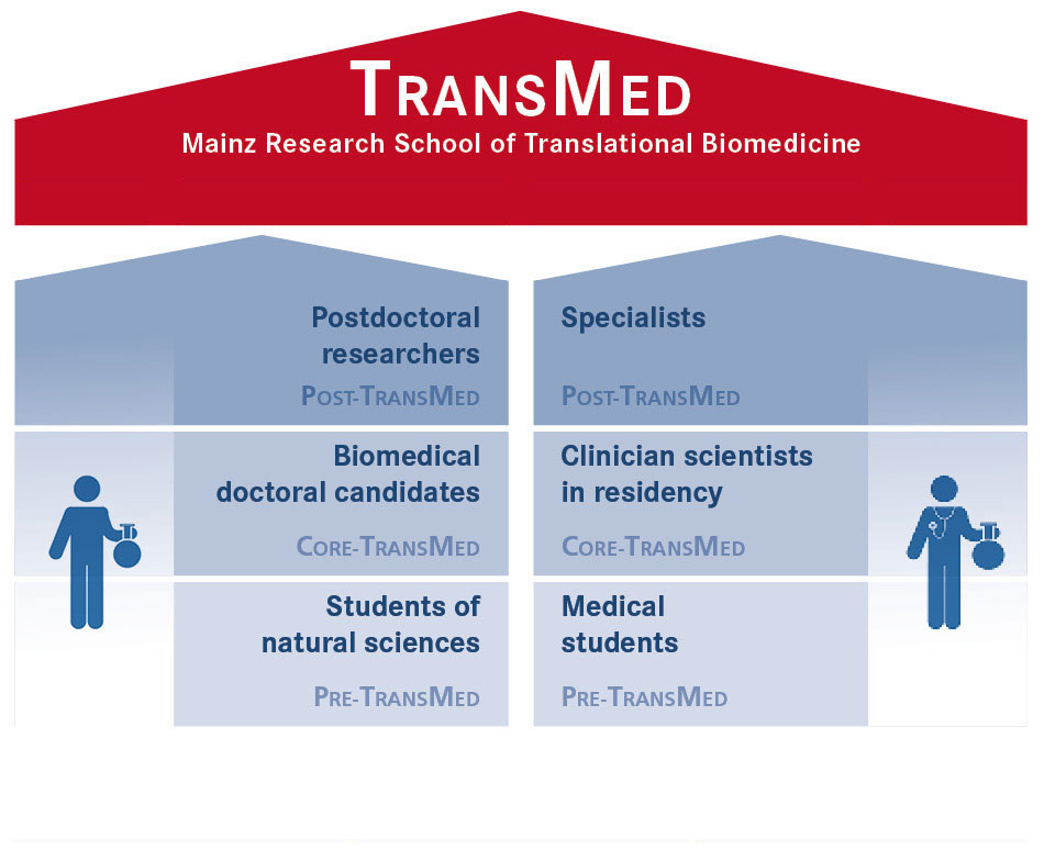Transmed House Desktop